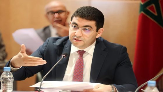 بنسعيد: المغرب يتوفر على كل المقومات ليصبح قاطرة للصناعات الثقافية والإبداعية
