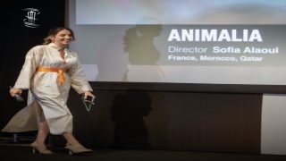 المهرجان الوطني للفيلم يكشف لائحة أفلام مسابقته الرسمية