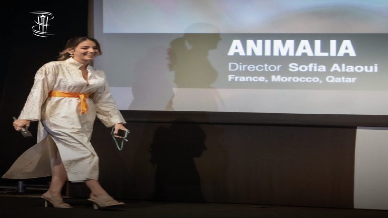 460573230_916951063793370_5314958394446933767_n