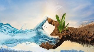 المعرض الدولي للفلاحة بالمغرب.. الدورة الـ17 في خضم التحولات الفلاحية الكبرى