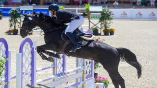 الرباط.. انطلاق الدورة الـ40 لأسبوع الفرس بدار السلام